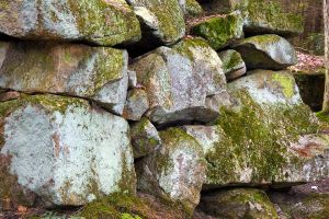 19  AQ431-Bicknell-Brook.jpg